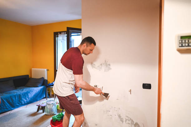 Best Home Mold Removal  in Grapeland, TX